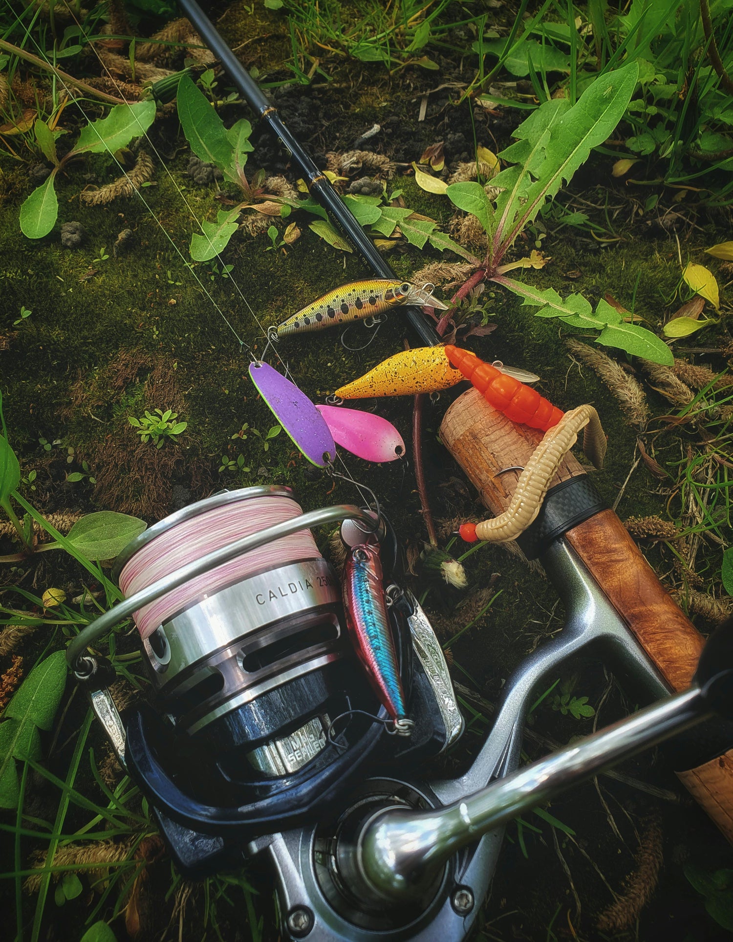 Reels