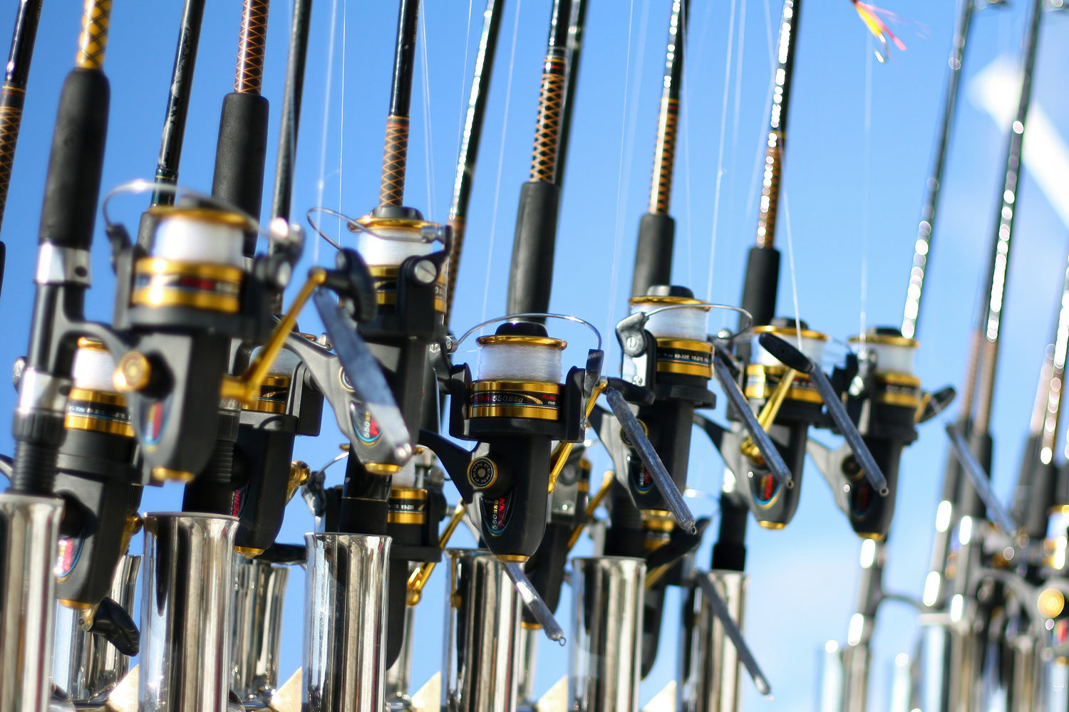 Rod & Reel Combos